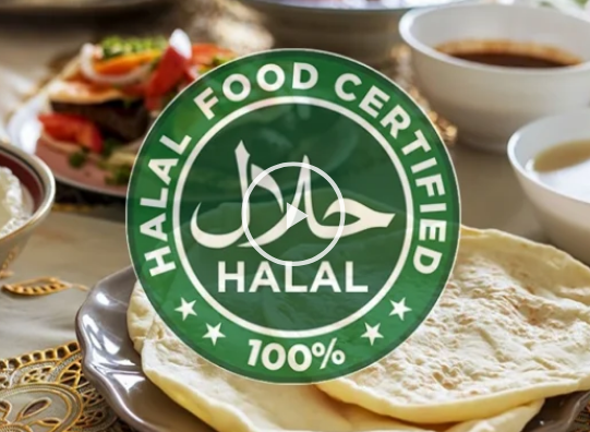 Halal certification registration in accordance with regulations